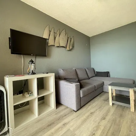 Confortable T2 à Avec Vue Mer, Parking Et Wifi - Fr-1-338-111 Appartamento Sète